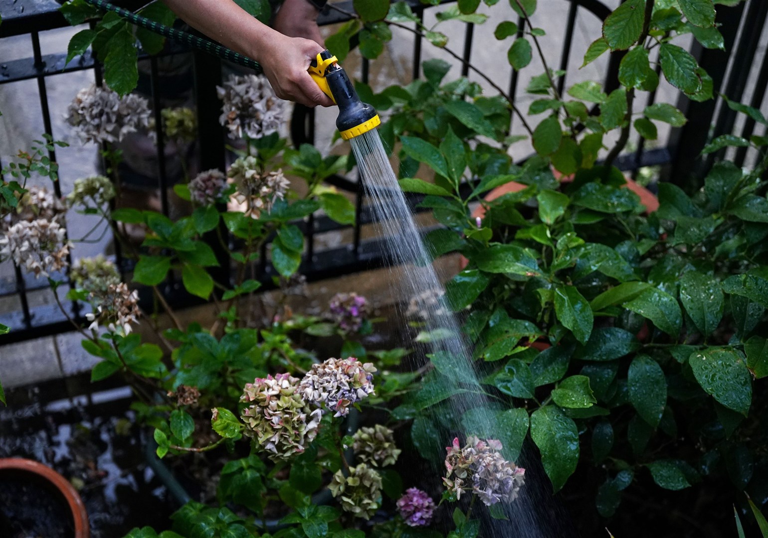 There are no hosepipe bans planned, but restrictions could be on the cards (Yui Mok/PA)