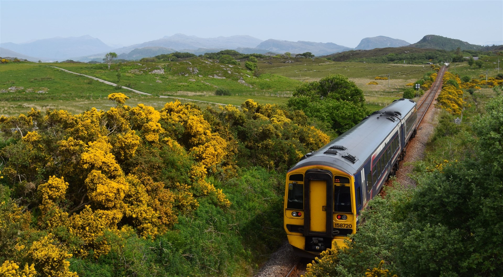 ScotRail services on the Inverness to Kyle line have been disrupted today following reports on a person being struck by a train between Dingwall and Achnasheen.