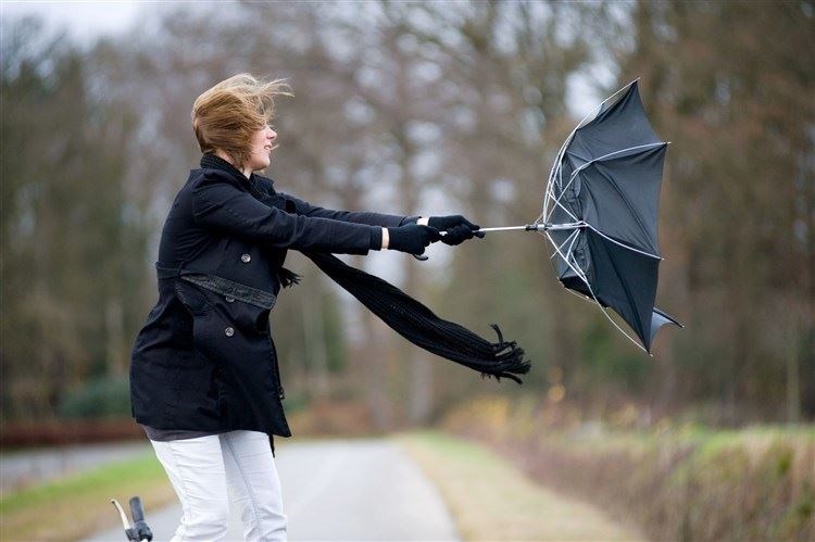High winds will batter the region on Sunday (stock image).
