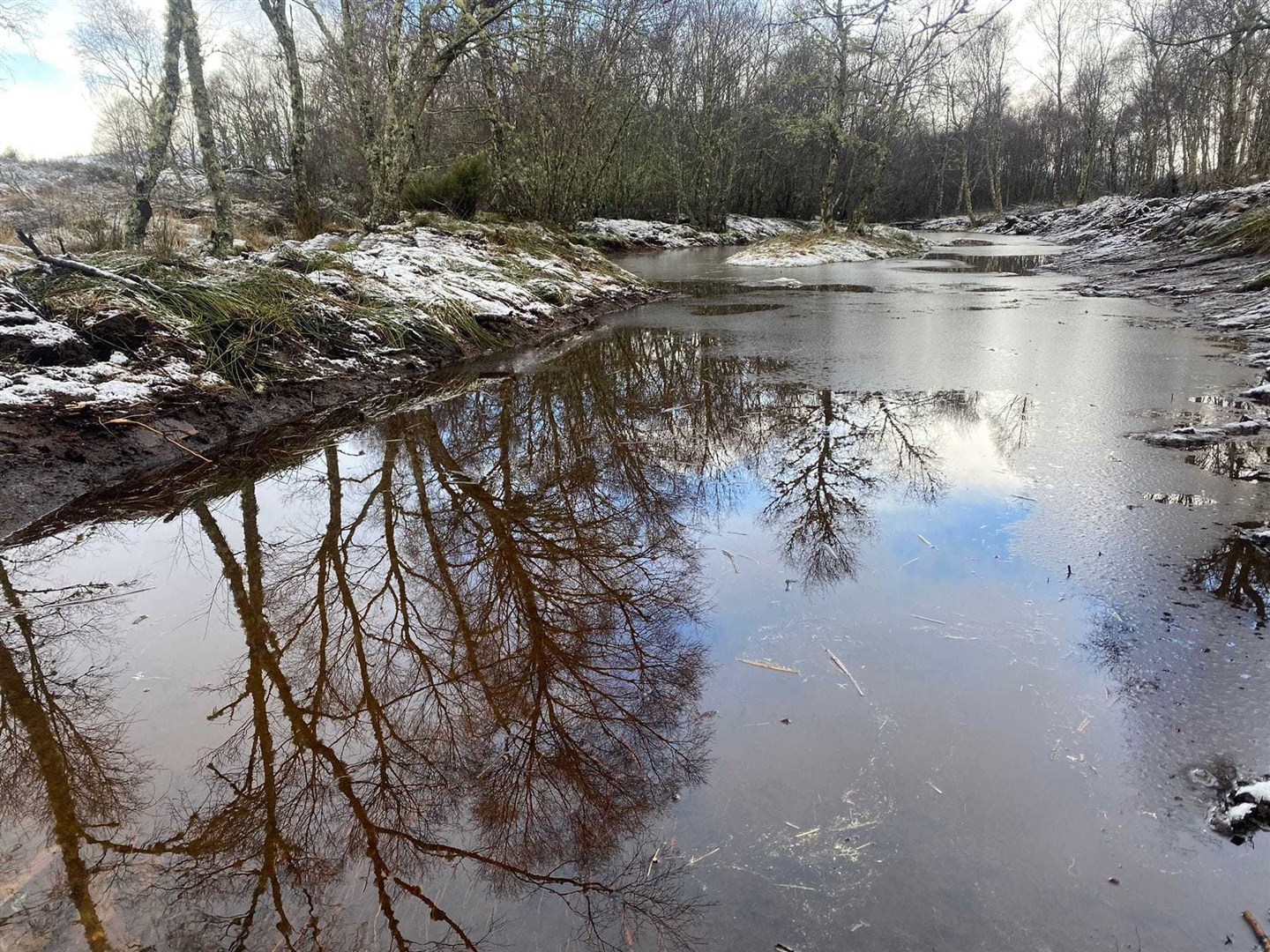 One of the new lochans in the strath which will provide habitat for the northern damselfly.