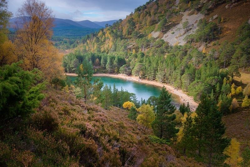 An Lochan Uaine (The Green Lochan) in Glenmore Forest Park appears in the book.