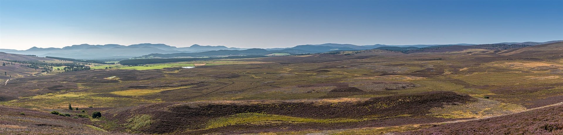Barren Highland beauty: treeless...for now.