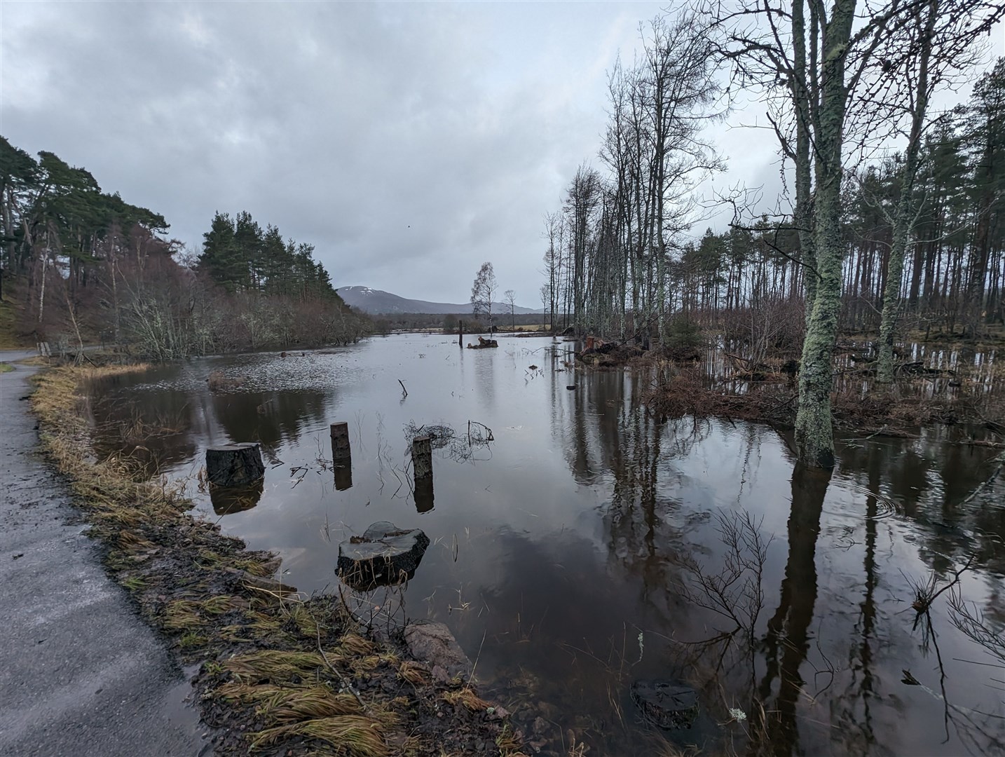 Waters continue to rise today by The Brae beween Kincraig and the Loch Insh Outdoor Centre