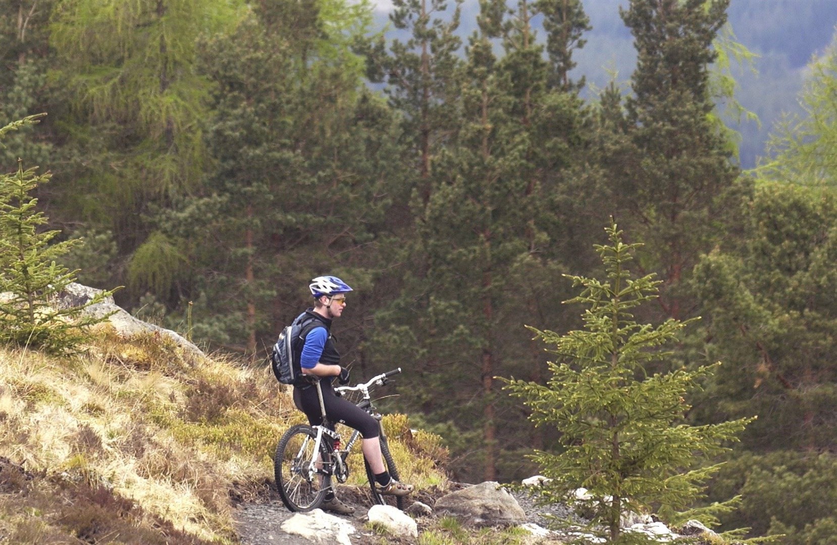 There are stunning views from the trails at Strathmashie.