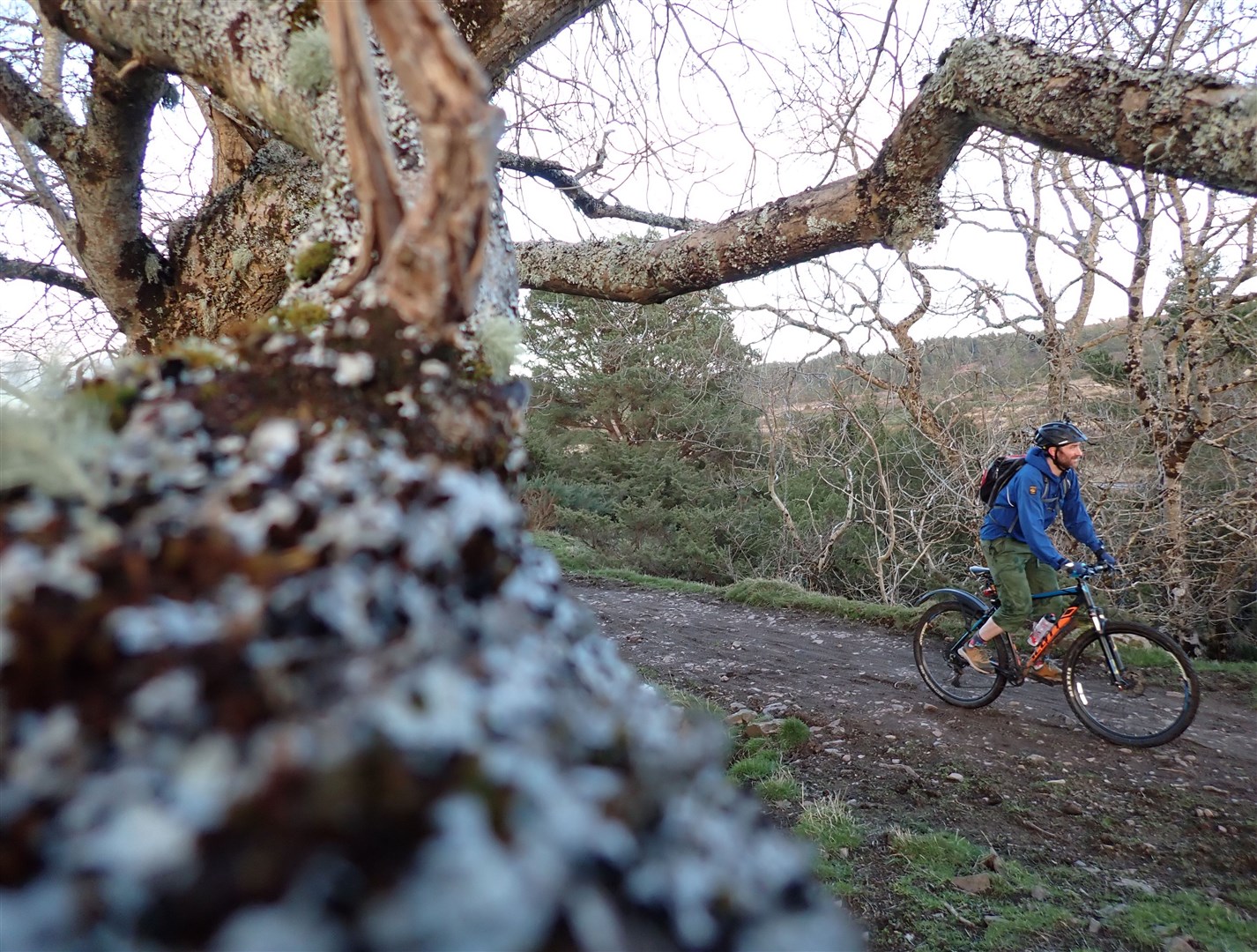 A squirrel-eye view of John on the route to Dores.