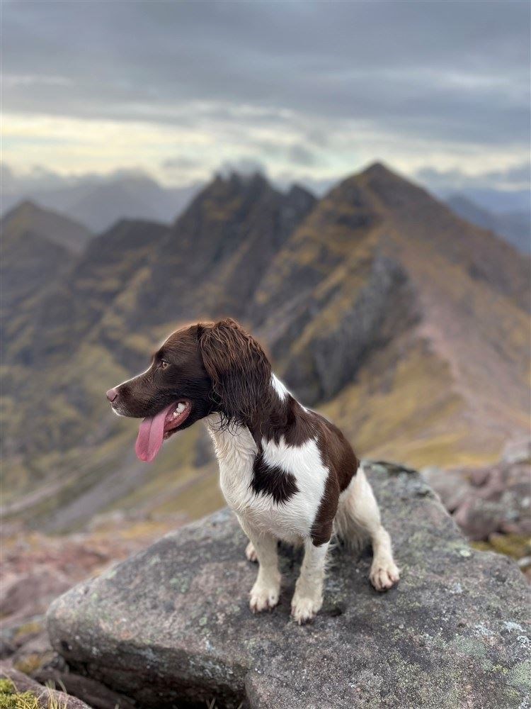 Talisker is never happier than when she is playing in the mountains, which she aims to take up again in after her six-week recovery.