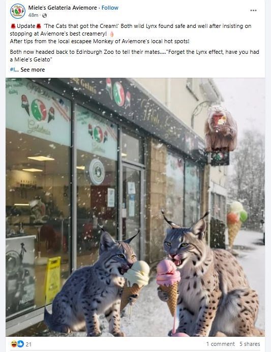 The memes have already started with Miele's Gelateria in Aviemore sharing this creation.