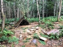 Dugless Wood