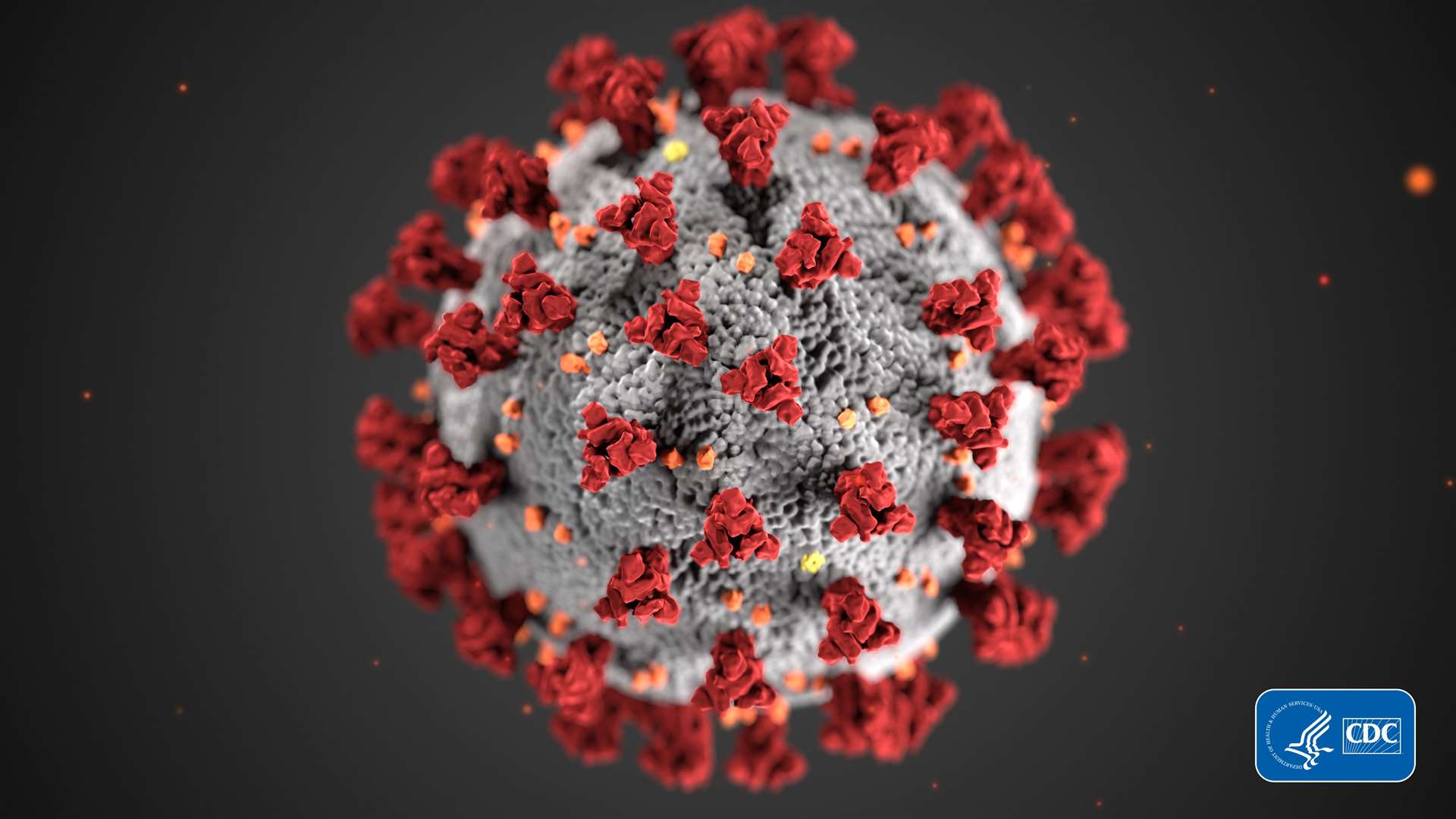 Coronavirus image.