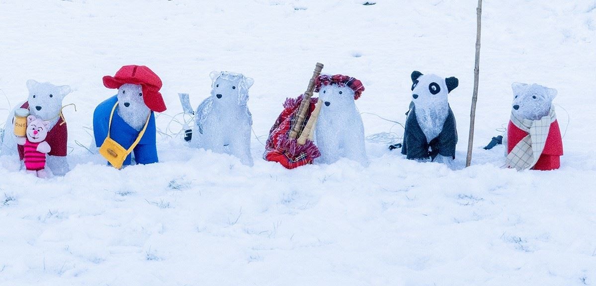 Some of the stars of this year's bear trail at Kincraig (Keith Ringland)