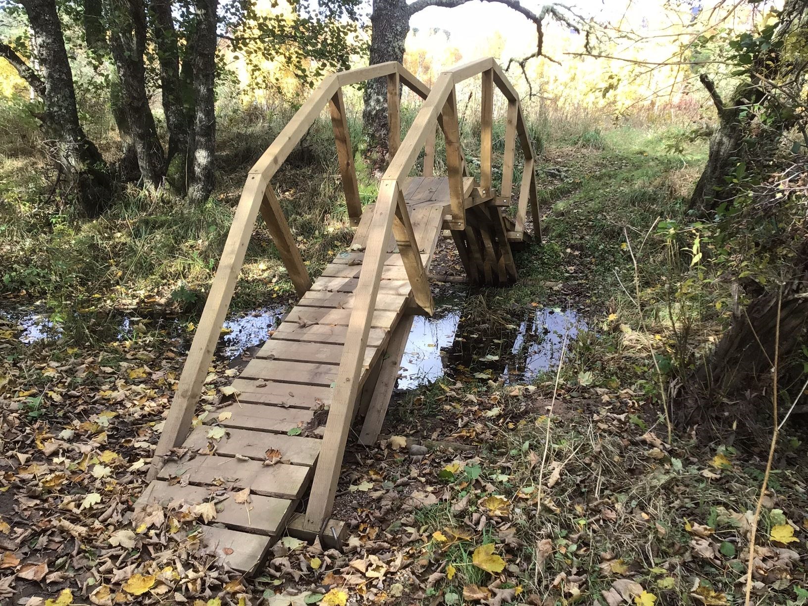 Small work of art... the 'da Vinci bridge' at Newtonmore.