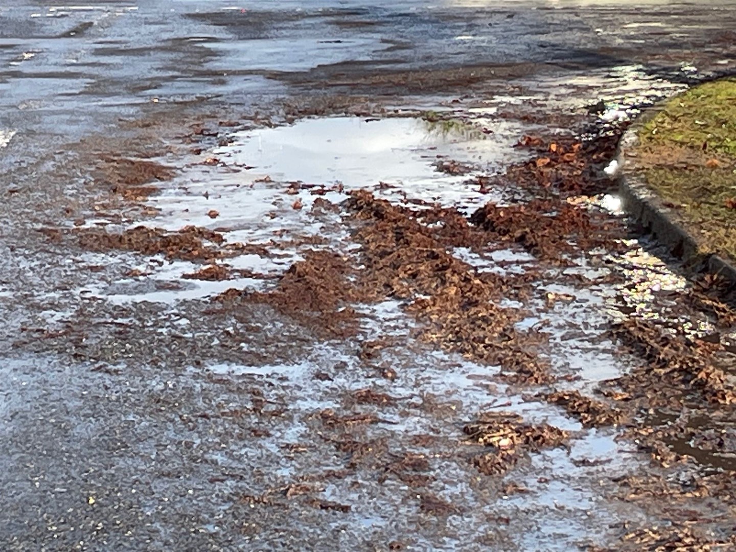 Some of the sewage and other debris from the drains which has backed up and overflowed.