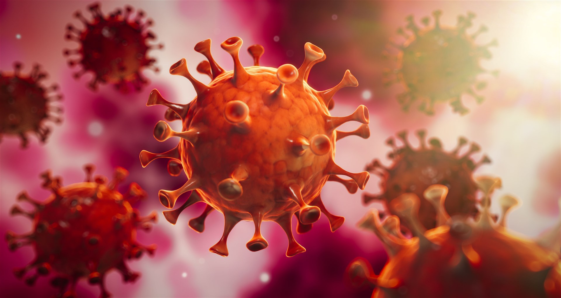 Coronavirus image.