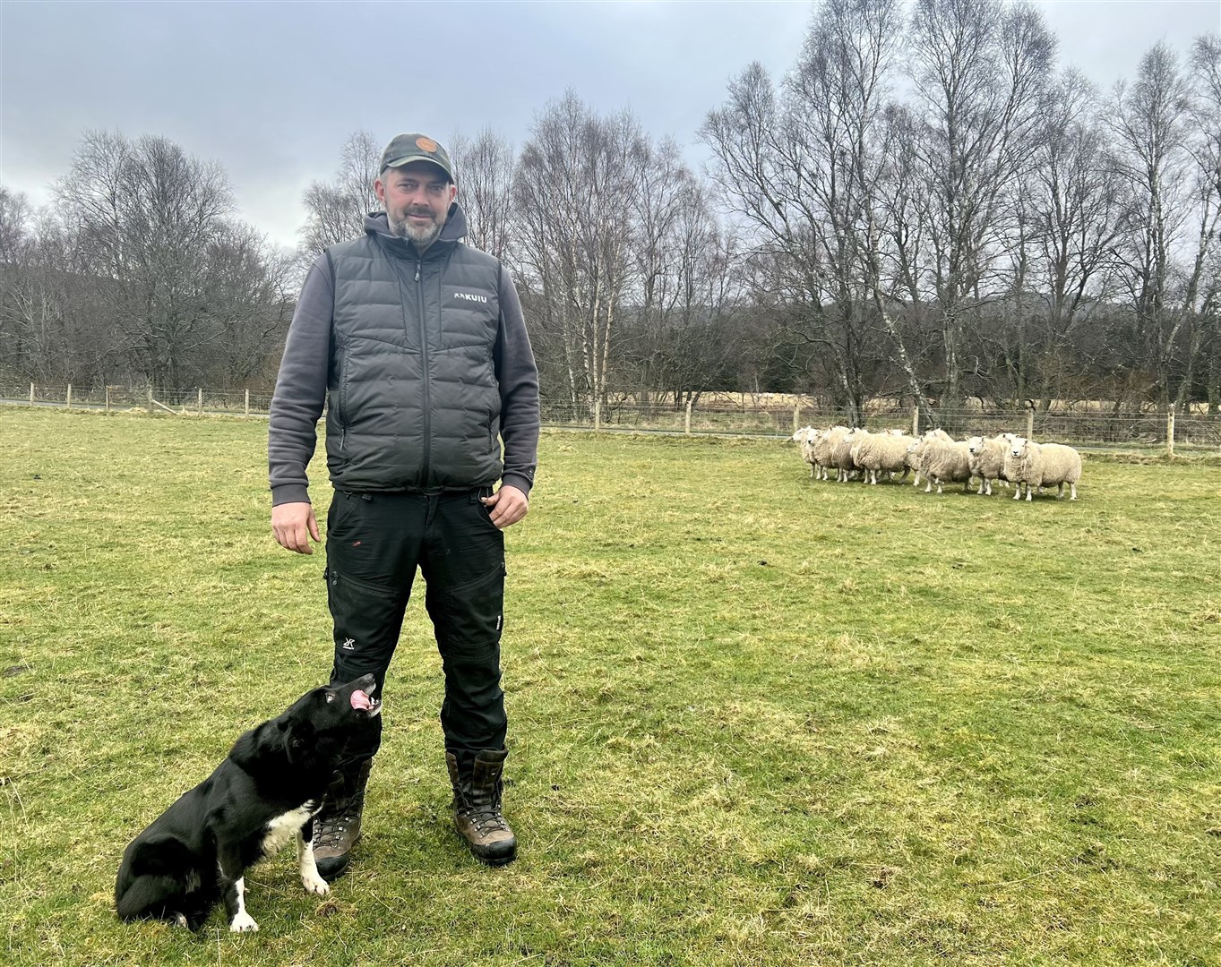Allan MacDiarmid is breeding North Country Cheviot sheep.