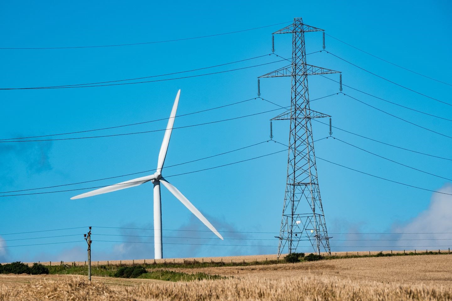 Wind turbines and SSEN transmission tower.