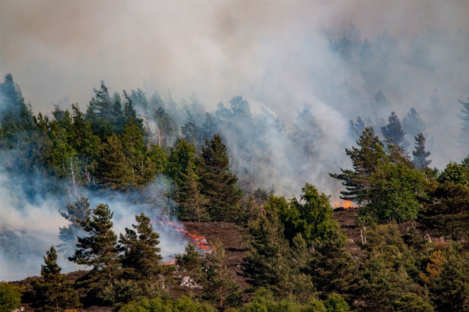 Wildfire near Daviot. Picture: Andy Walker Photography