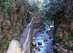 The woodland walk at Glen Grant, Rothes.