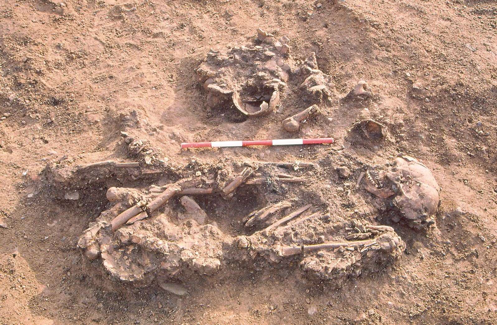 A skeleton from Windmill Fields, Stockton-on-Tees (Tees Archaeology/PA)