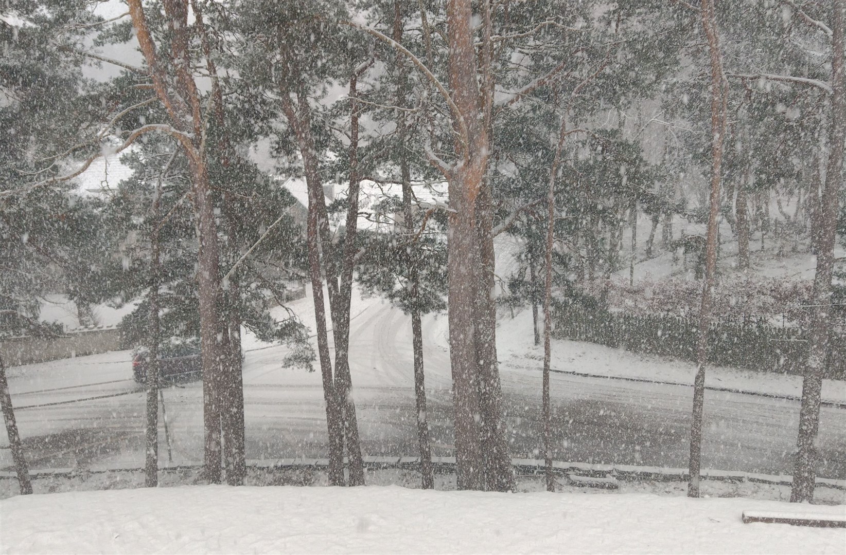 Snow is still falling in the strath this morning