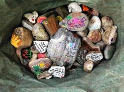 Rocks