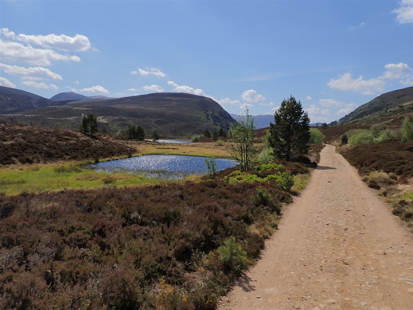 Looking back to the mountains from the track beyond Ryvoan bothy. Picture: John Davidson