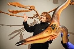dionsaurs