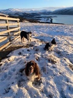 Avril Scott sent in this photo of Maisie, Jan and Tess enjoying the view over Lochbroom.