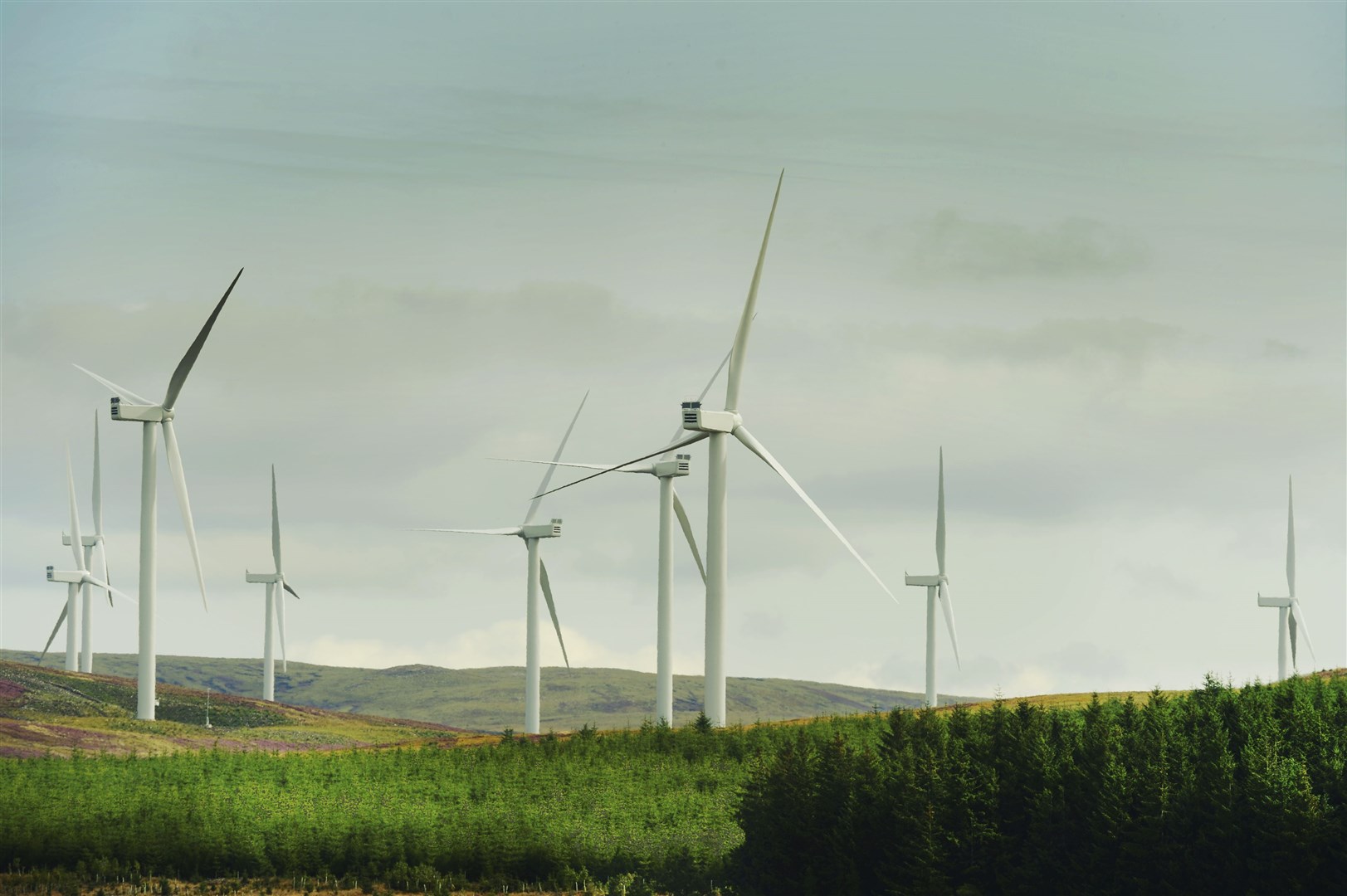 A wind farm near Moy.