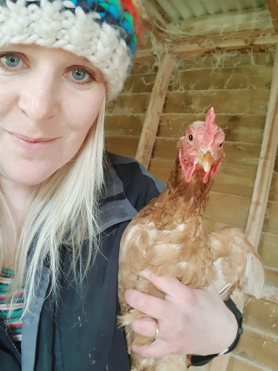 Freedom day: volunteer Lee-Anne Dawson with one of her own freed battery hens. More are due this month.