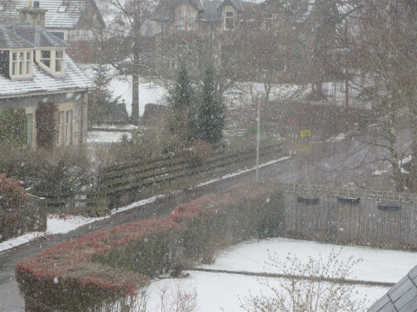 Snow falling on Kincraig this morning