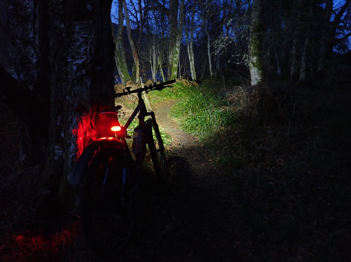 In the heart of darkness on the trail home.
