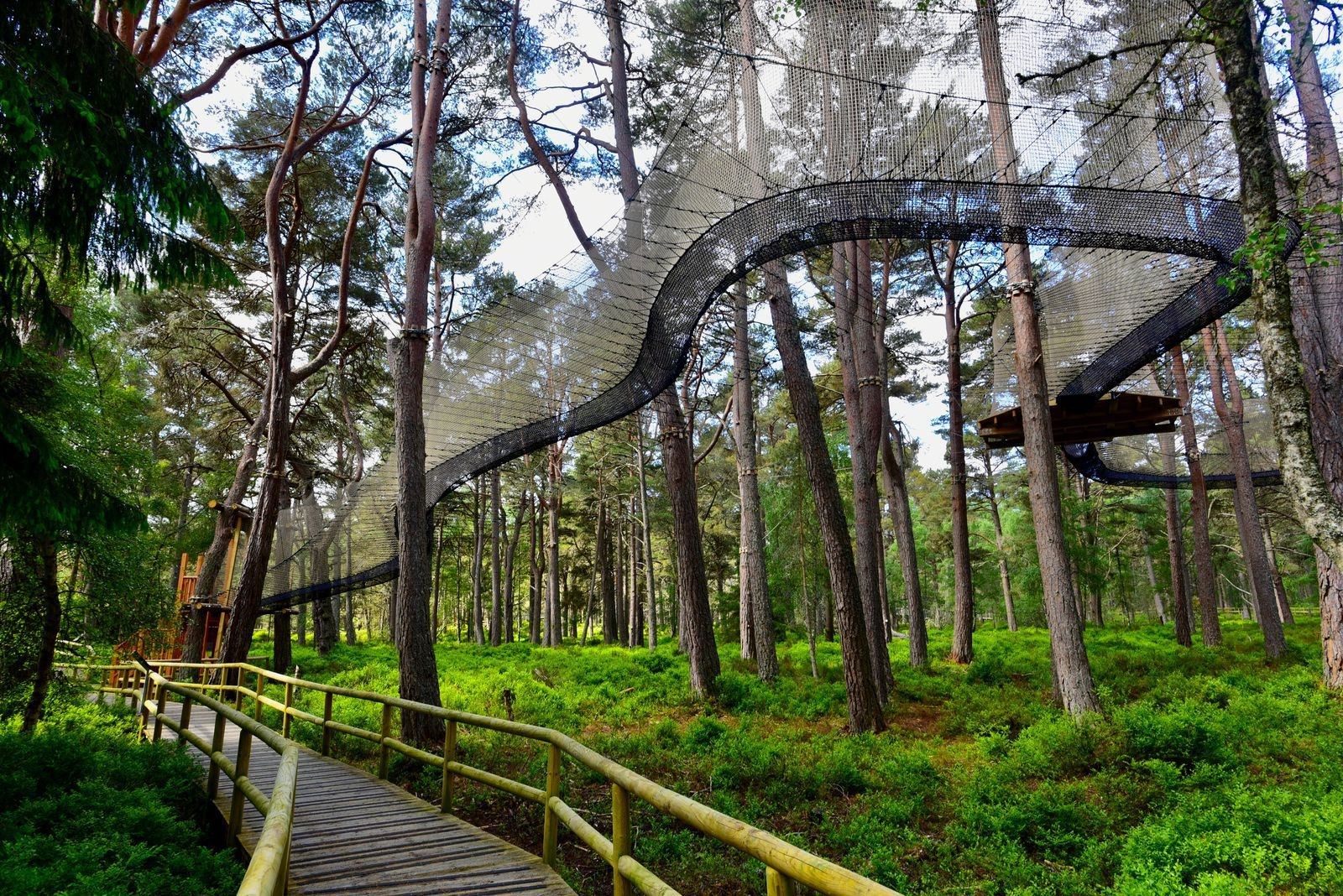 HIGH ADVENTURE: The squirrel runway at Landmark's Carrbridge attraction