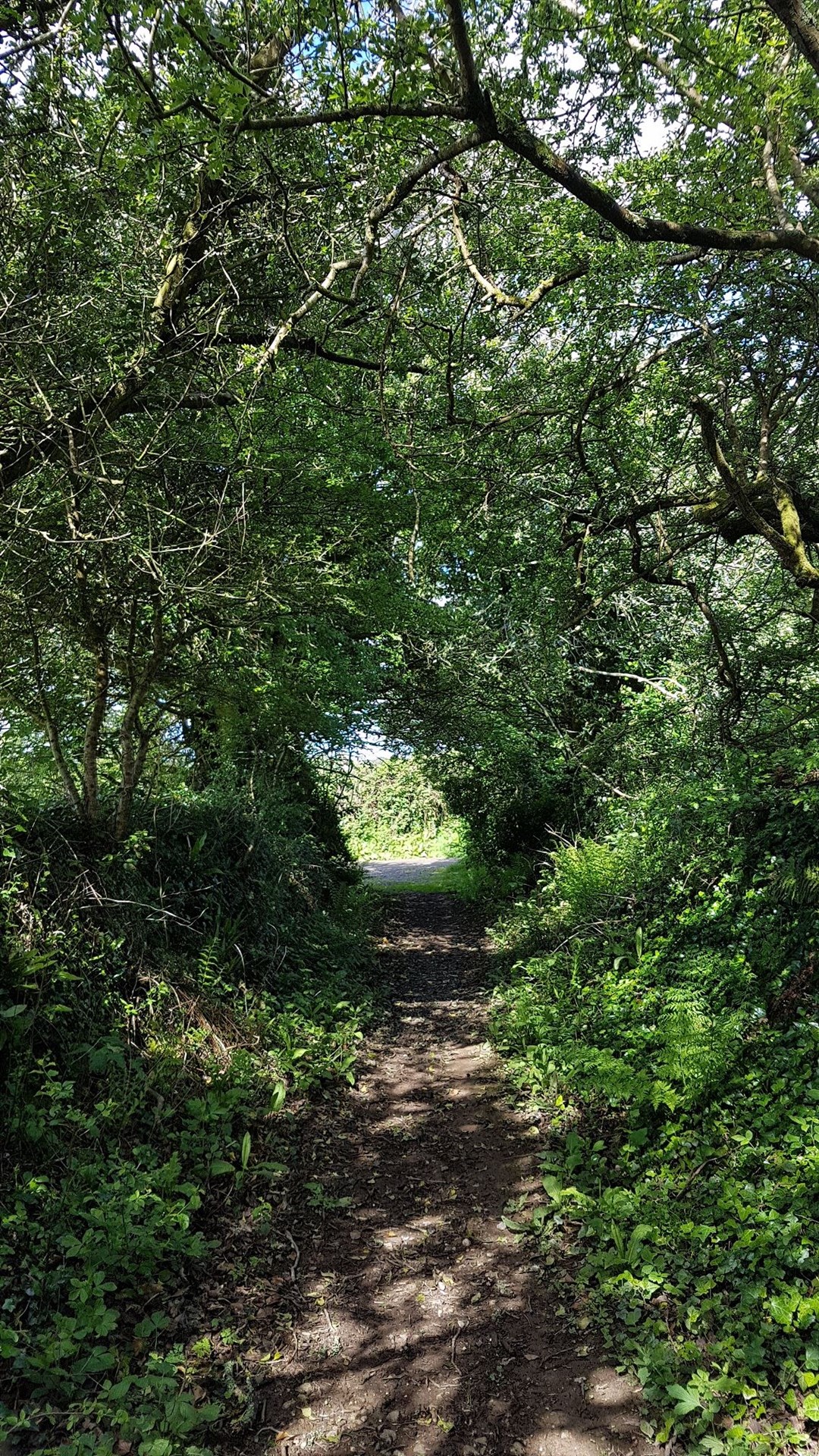A path in Cornwall which needs adding to the map (The Ramblers/PA)