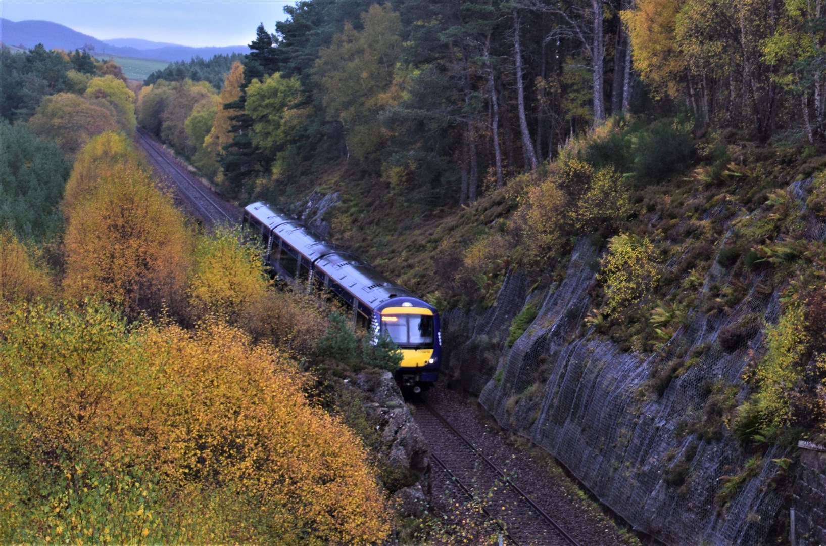A ScotRail train on the Highland mainline between Carrbridge and Slochd. Picture: Philip Murray.