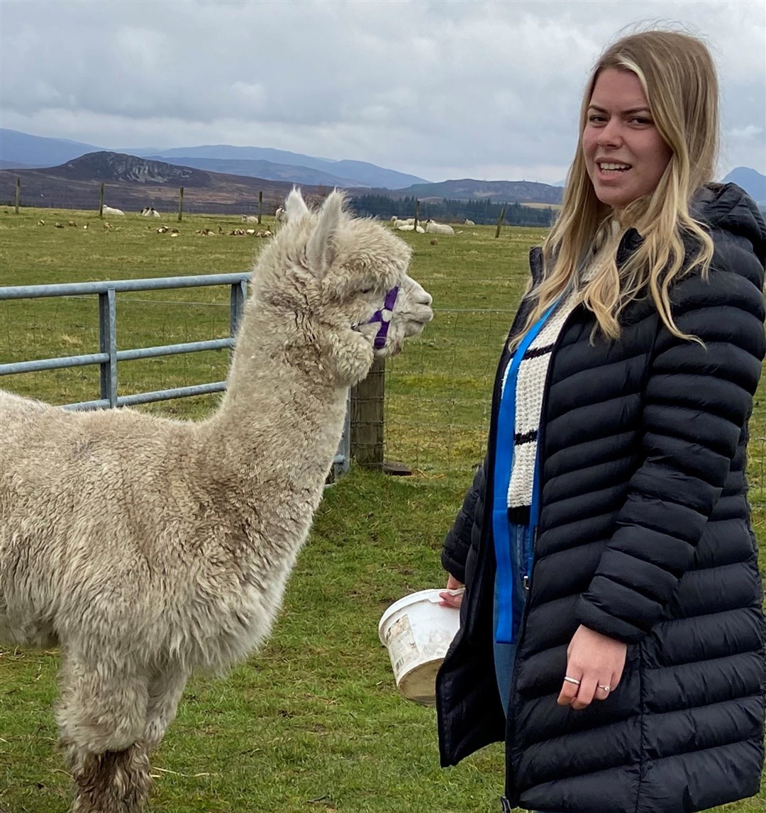 Jenni and her alpacas