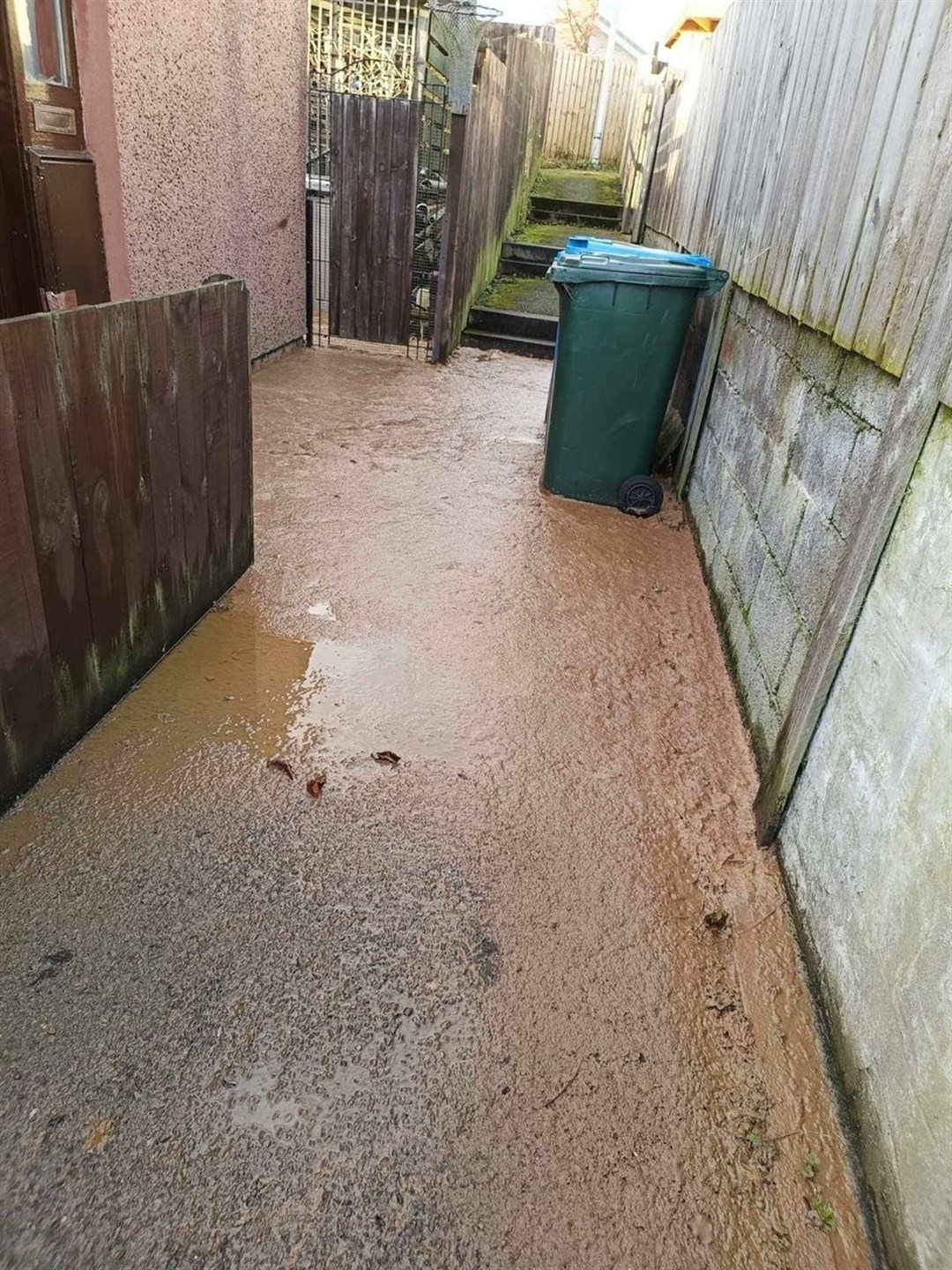 Some of the sewage has entered the pathway of this property in Burnside.
