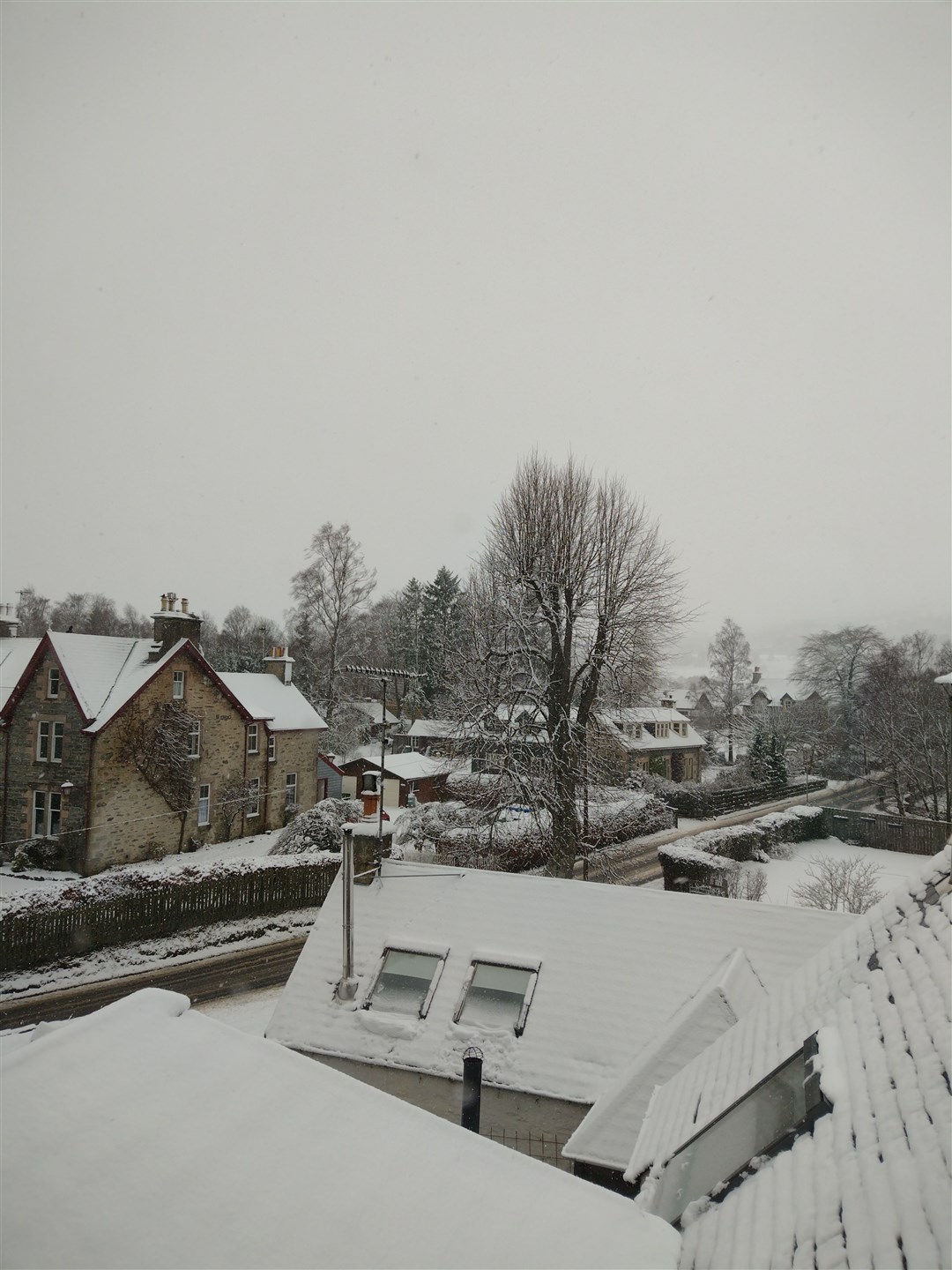 Snows return to Kincraig this morning, with plenty more up there...