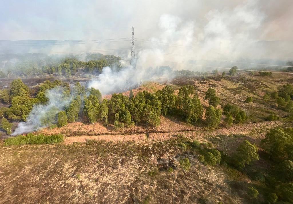Impact of Cannich wildfire on RSPB Cormionny Nature Reserve, Scotland, May 2023