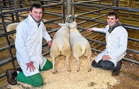 Angus Brims, John Forbes, Scottish Association of Young Farmers' Clubs, SAYFC