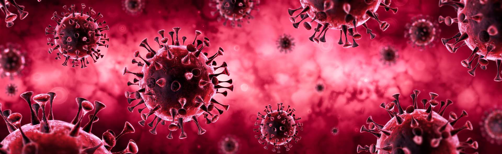 The number of coronavirus cases registered in the Highlands has risen sharply overnight.
