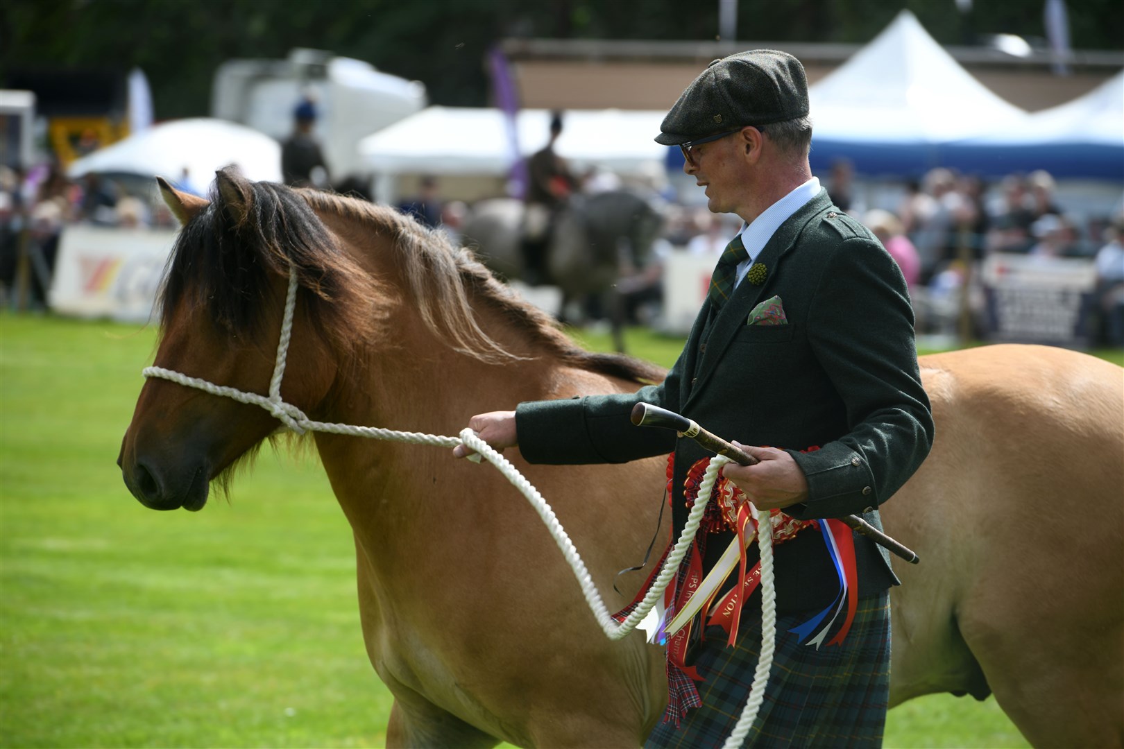 A smart horse and a smart owner in the ring. Picture: James Mackenzie.