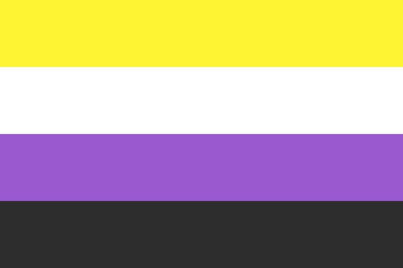 The pride flag represneting non-binary people.
