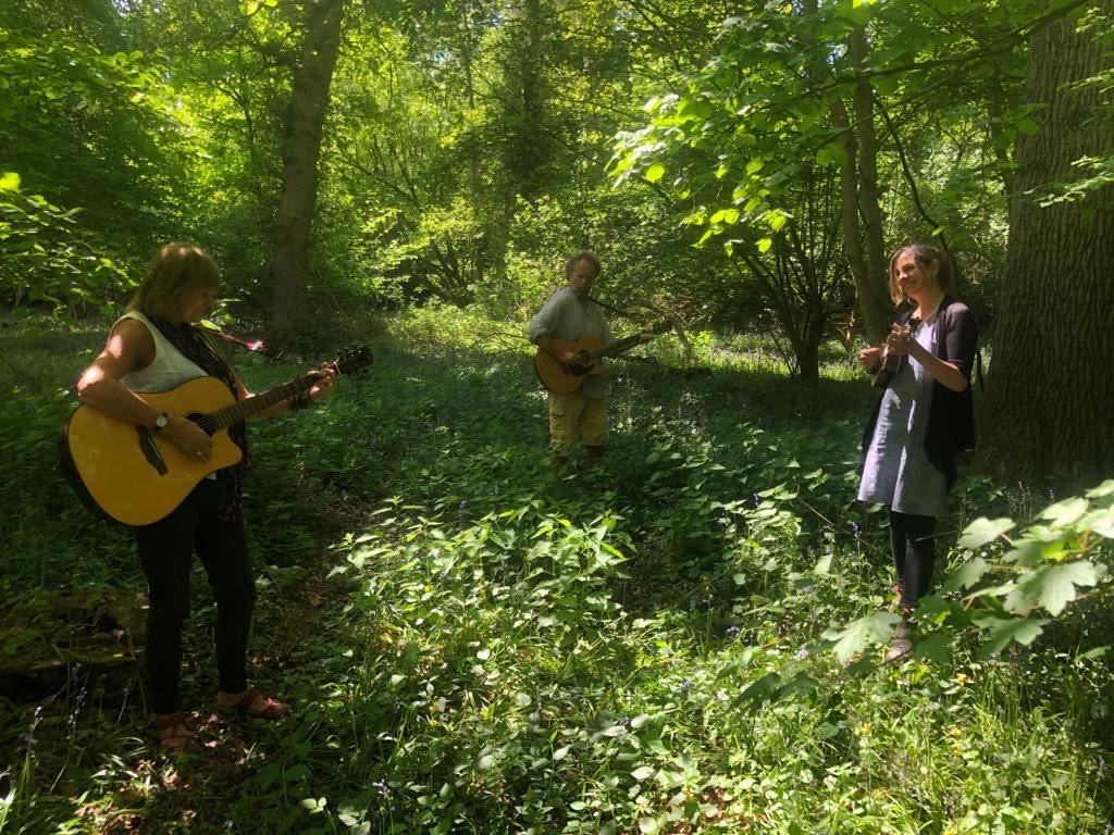 Banding together for the trees