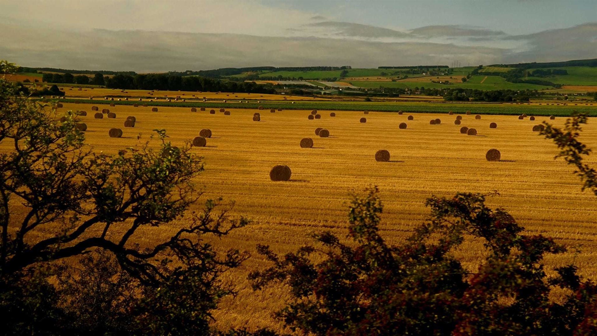 Farmers have joined others in the industry to call for a rethink from the Home Secretary on immigration measures. (David Macleod)