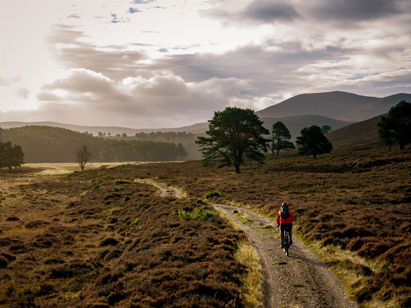 Biking in all its forms is very much a big part of the tourism package for the Cairngorms National Park.