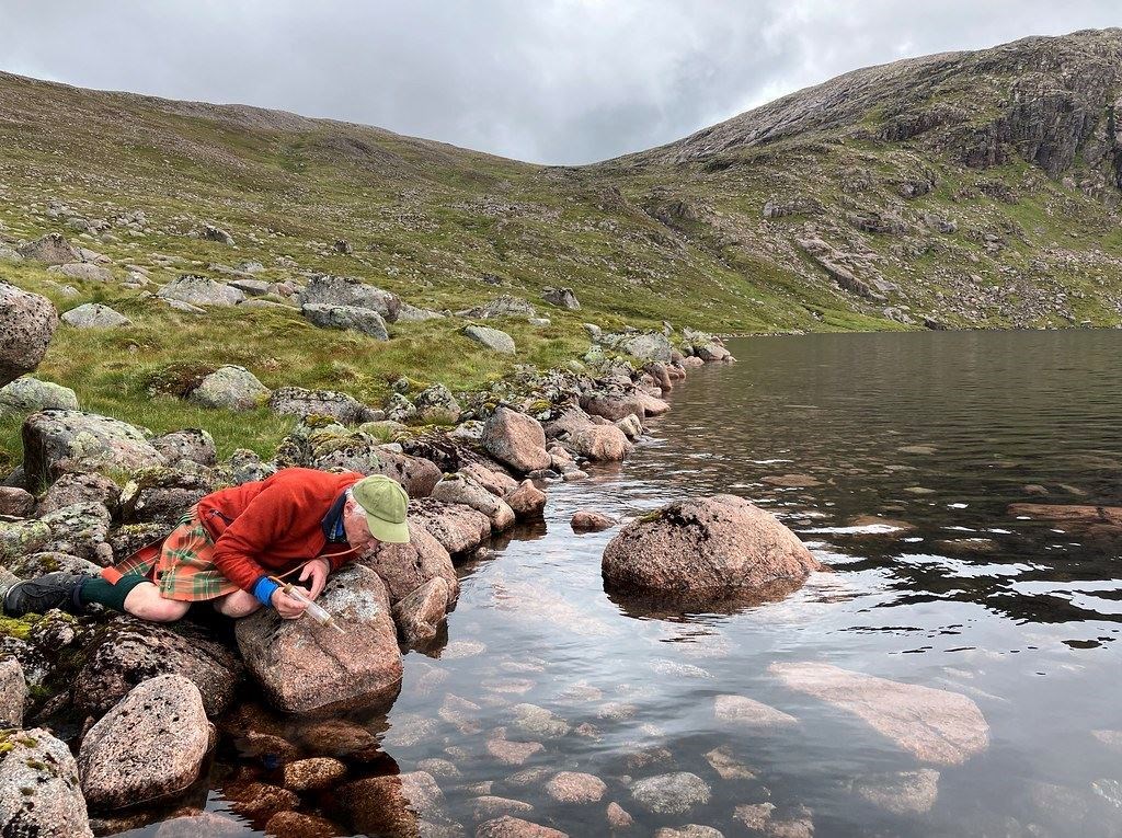 The Arctic Wave Dancer was found dancing on the edges of Lochain Uaine