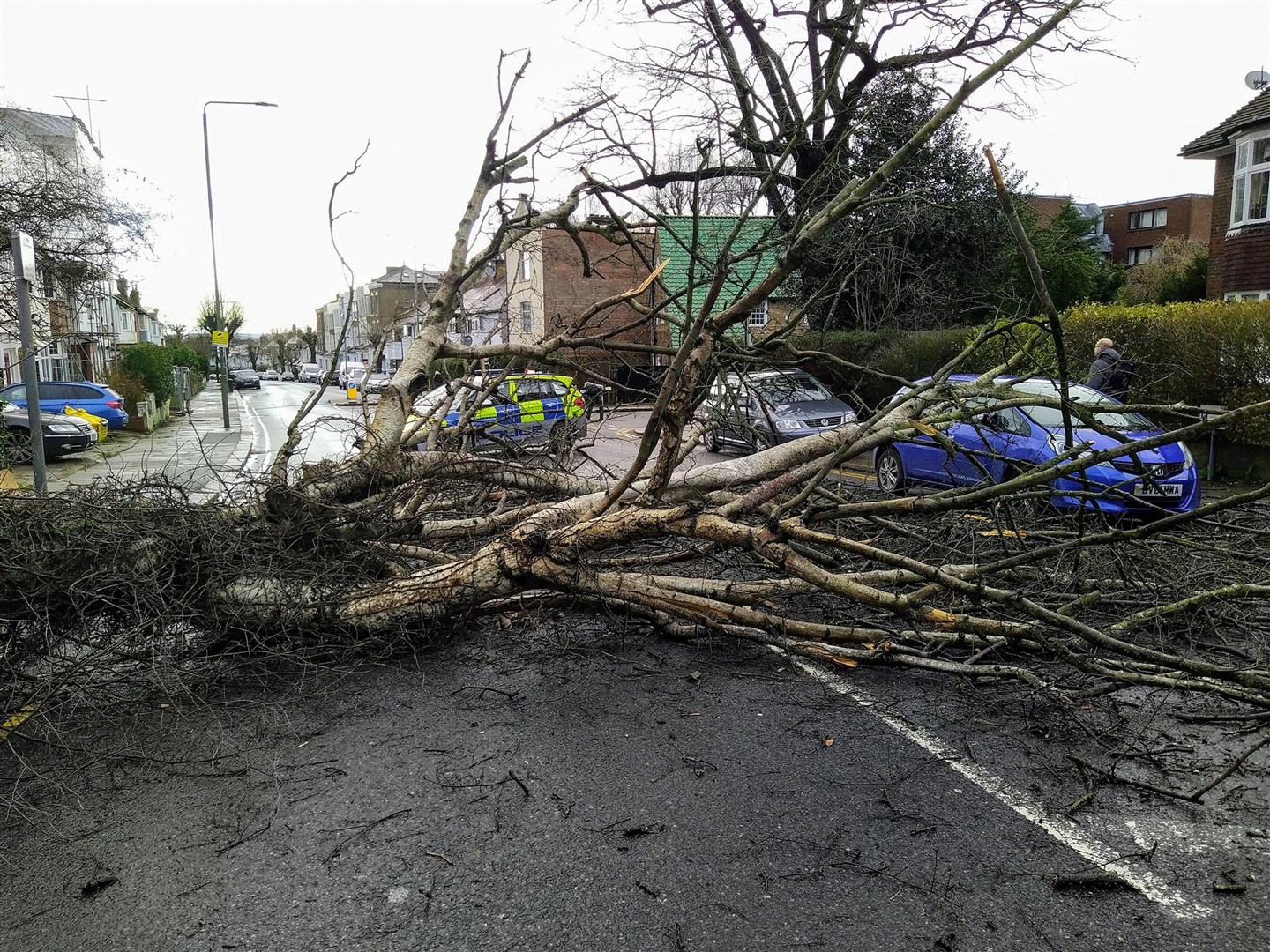 A downed tree in Golders Green, London as winds reached more than 100mph overnight (Alan Schneiderman/@alan_s01/PA)