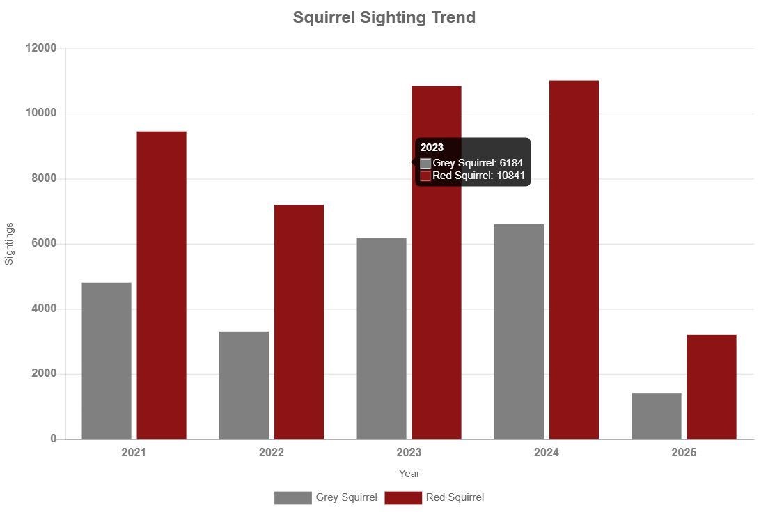 SETTING THE TREND: courtesy of Saving Scotland's Red Squirrels