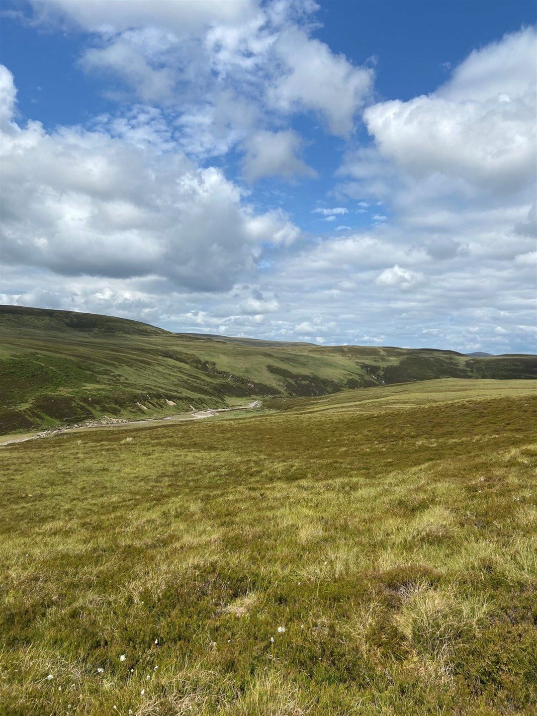 Highland Wind Farm site west of Kincraig