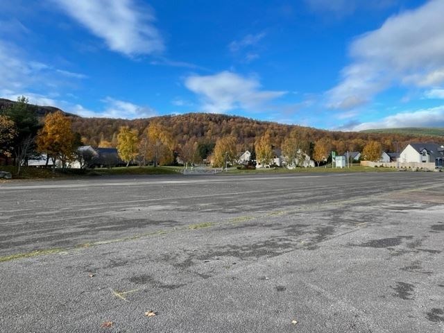 Looking across part of the proposed site to the Scandinavian Village.